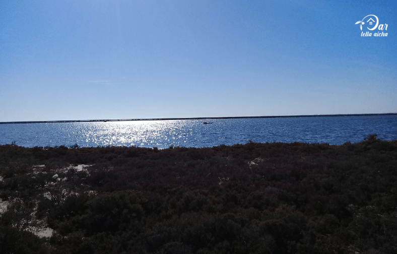 Dar lella aicha près de la mer Thyna